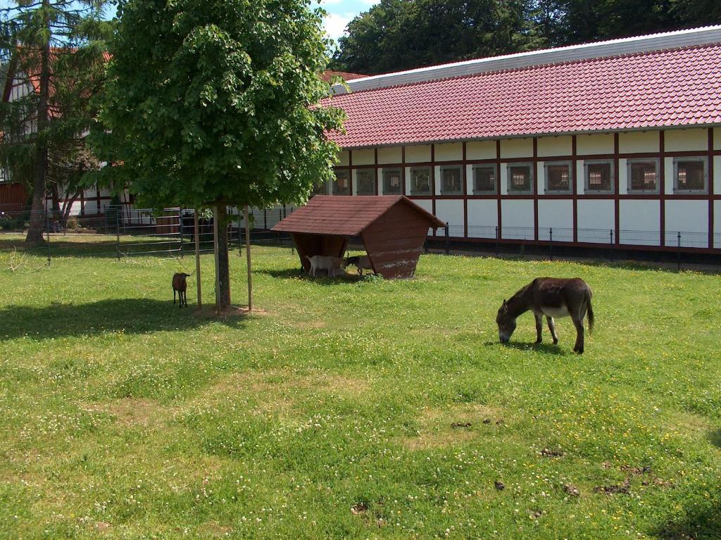 Landhotel & Restaurant Gutsherrn-Klause Dankerode  Dış mekan fotoğraf