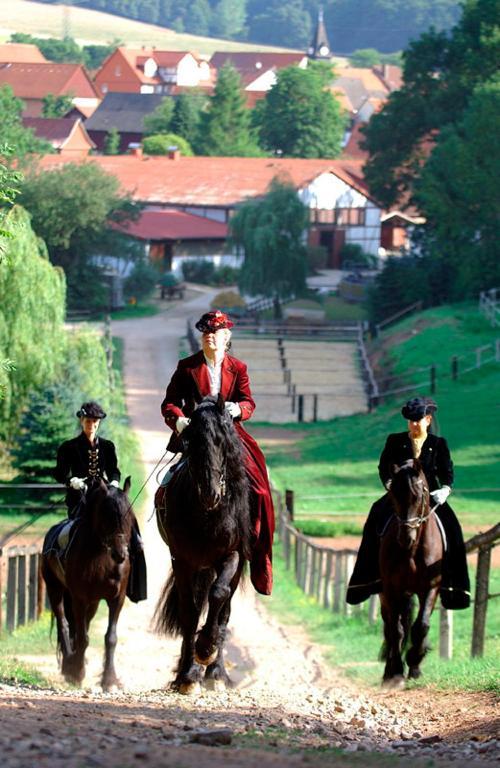 Landhotel & Restaurant Gutsherrn-Klause Dankerode  Dış mekan fotoğraf